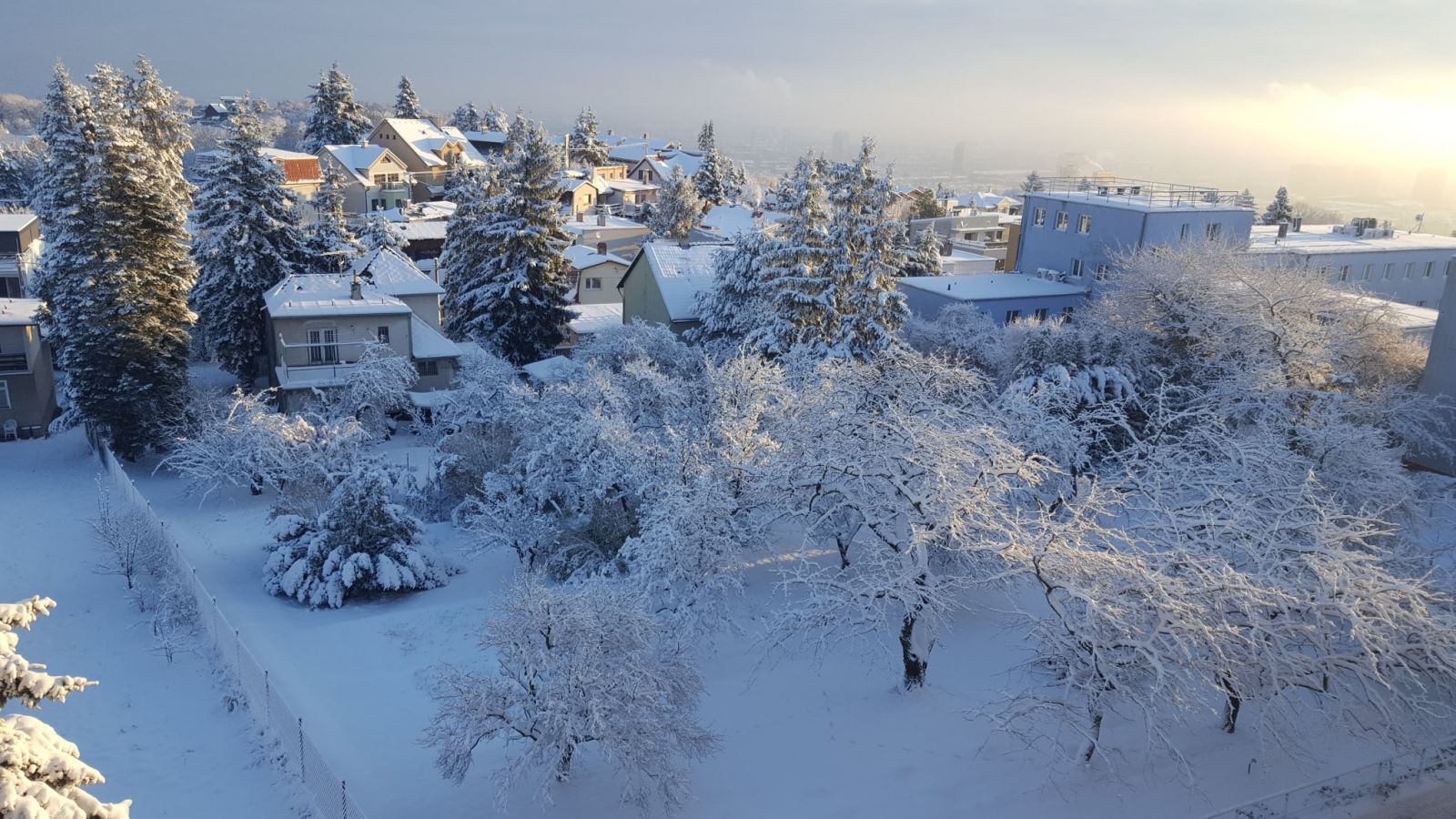 Pravdepodobnosť výskytu snehovej pokrývky na Slovensku 24. decembra