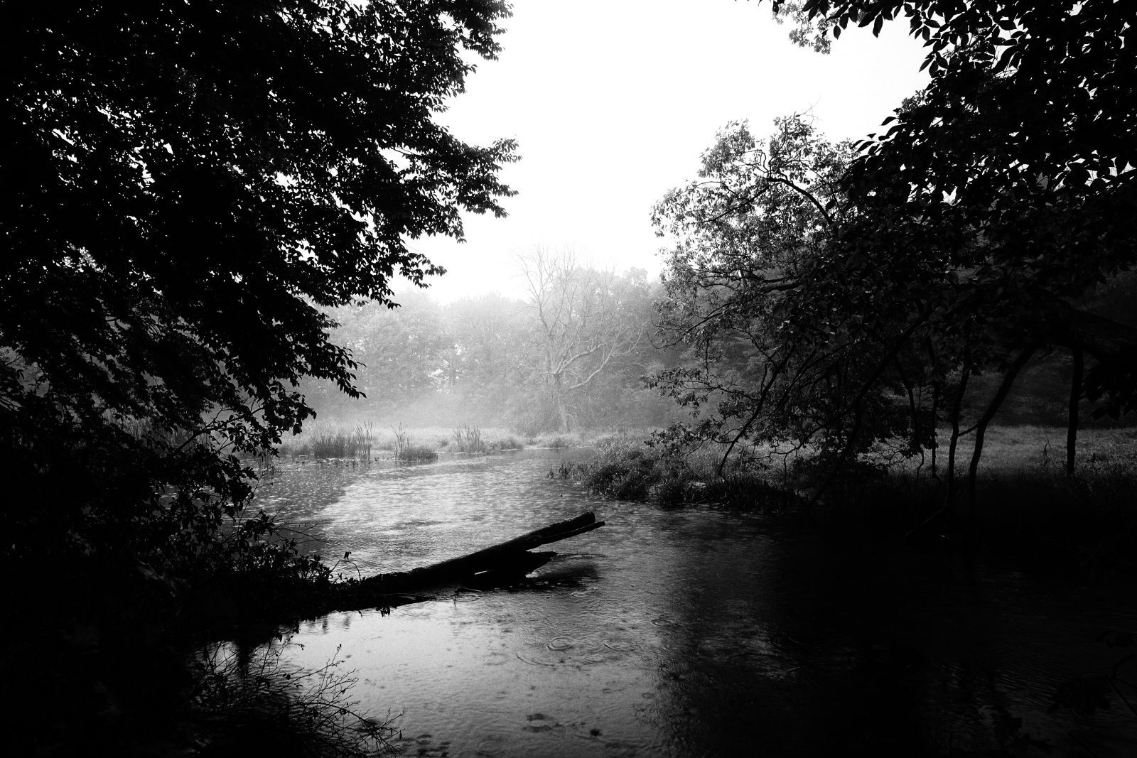 Hydrologická situácia 15.9.2024 a predpokladaný vývoj