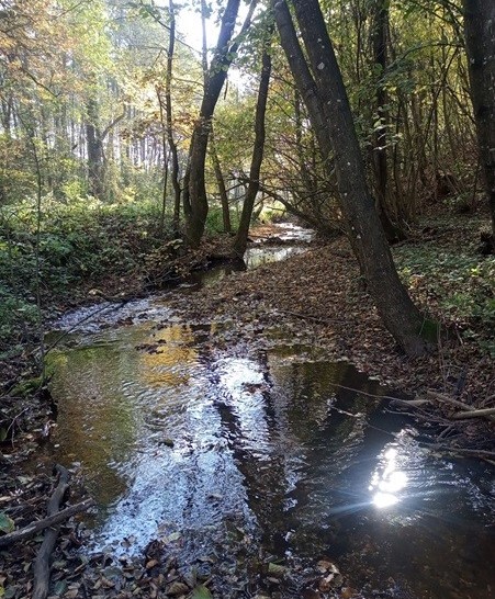 Hodnotenie hydrologickej situácie v mesiaci október 2024